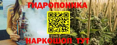 спиды Аргун