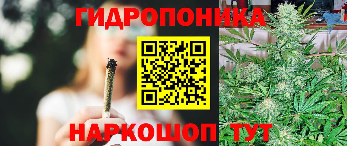 Канабис MAZAR Балахна